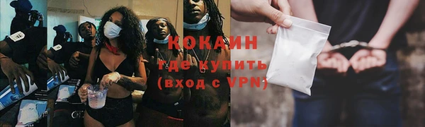 гидропоника Богданович