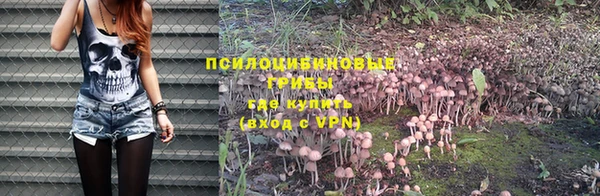 гидропоника Богданович